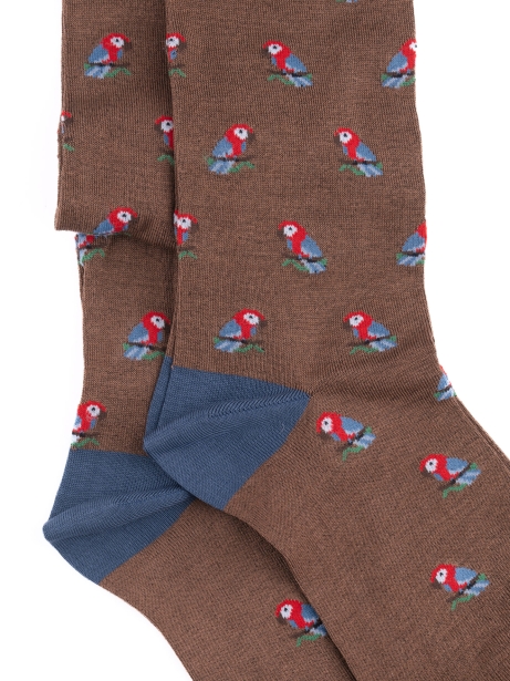 Calcetines de hombre con diseño de loro 2