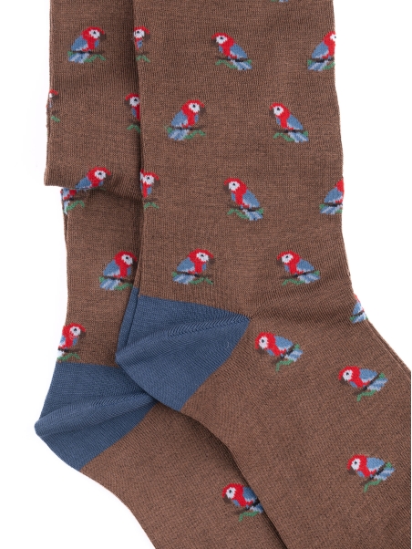 Calcetines de hombre con diseño de loro