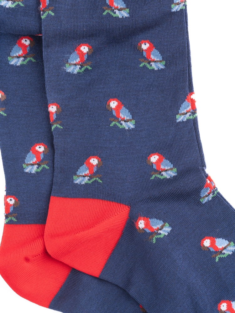 Calcetines de hombre con diseño de loro