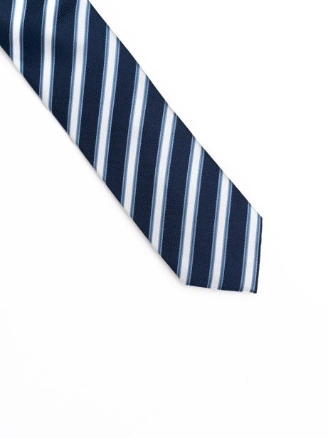 Corbata de seda a rayas del regimiento azul claro 2