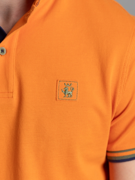 Polo uomo mezza manica con dettagli sportivi 2